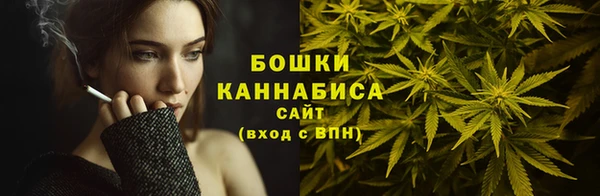 PSILOCYBIN Киреевск