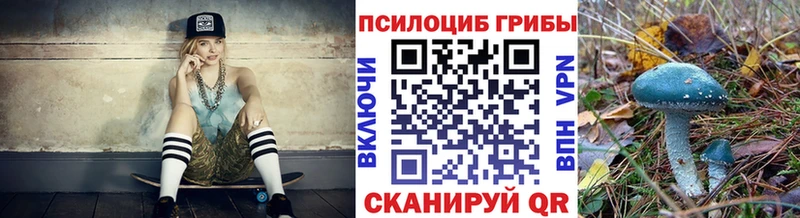 Галлюциногенные грибы мухоморы  MEGA онион  Орлов 