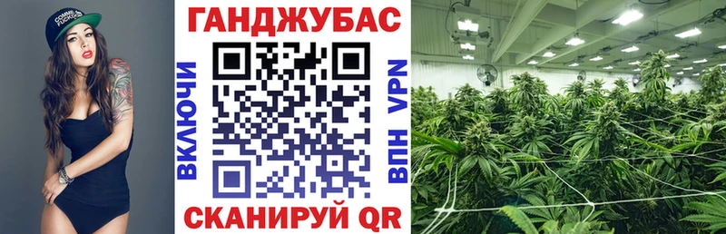 Каннабис тримм  гидра онион  Орлов  как найти закладки 